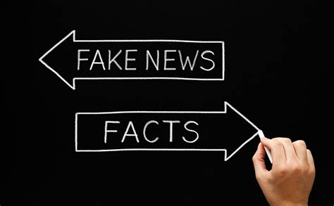 real vs fake clothes|facts and false news.